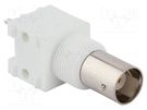 Socket; BNC; female; straight; 50Ω; THT; polypropylene; gold-plated AMPHENOL RF