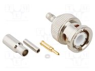 Connector: BNC; plug; male; straight; 50Ω; crimped; for cable; POM AMPHENOL RF