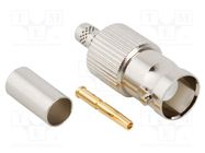 Connector: BNC; plug; female; straight; 50Ω; crimped; for cable; POM AMPHENOL RF