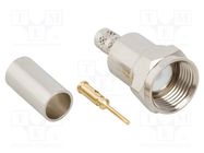 Connector: F; plug; male; straight; 75Ω; crimped; for cable; PTFE AMPHENOL RF