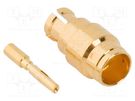 Plug; coaxial; female; straight; 50Ω; soldering; for cable; 40GHz AMPHENOL RF