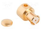Plug; coaxial; female; angled 90°; 50Ω; soldering; for cable; SMP AMPHENOL RF