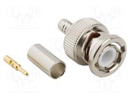 Connector: BNC; plug; male; straight; 50Ω; crimped; for cable; PTFE AMPHENOL RF