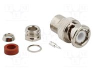 Connector: BNC; plug; male; straight; 50Ω; soldering,clamp; PTFE AMPHENOL RF