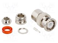 Connector: BNC; plug; male; straight; 50Ω; clamp,crimped; for cable AMPHENOL RF