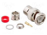 Connector: BNC; plug; male; straight; 50Ω; soldering,clamp; PTFE AMPHENOL RF