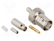 Connector: BNC; plug; female; straight; 50Ω; crimped; for cable AMPHENOL RF