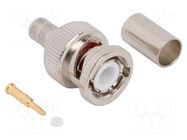 Connector: BNC; plug; male; straight; 50Ω; soldering,crimped; PTFE AMPHENOL RF