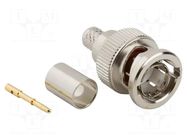 Connector: BNC; plug; male; straight; 75Ω; crimped; for cable; PTFE AMPHENOL RF