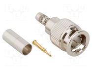 Connector: Mini BNC; plug; male; straight; 75Ω; soldering,crimped AMPHENOL RF