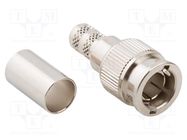 Plug; Mini BNC; male; straight; 75Ω; soldering,crimped; for cable AMPHENOL RF
