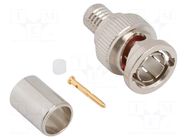 Connector: BNC; plug; male; straight; 75Ω; crimped; for cable; PTFE AMPHENOL RF