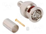 Connector: BNC; plug; male; straight; 75Ω; crimped; for cable; PTFE AMPHENOL RF