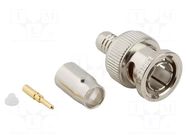 Connector: BNC; plug; male; straight; 75Ω; crimped; for cable; PTFE AMPHENOL RF