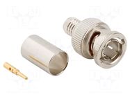 Connector: BNC; plug; male; straight; 75Ω; crimped; for cable; PTFE AMPHENOL RF