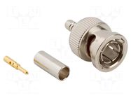 Connector: BNC; plug; male; straight; 75Ω; crimped; for cable; PTFE AMPHENOL RF