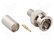 Connector: BNC; plug; male; straight; 75Ω; crimped; for cable; PTFE AMPHENOL RF