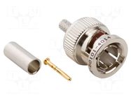 Connector: BNC; plug; male; straight; 75Ω; crimped; for cable; PTFE AMPHENOL RF