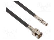 Cable; 75Ω; BNC HD męski male,BNC male; straight; 0.914m AMPHENOL RF