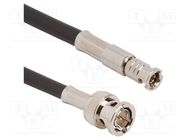 Cable; 75Ω; BNC HD męski male,BNC male; straight; 0.914m AMPHENOL RF