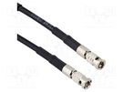 BNC HD,both sides; Belden 4855R; Cable: coaxial; 0.305m; male AMPHENOL RF