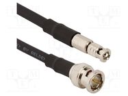 Cable; 75Ω; BNC HD męski male,BNC male; straight; 1m AMPHENOL RF