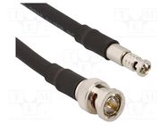 Cable; 75Ω; BNC HD męski male,BNC male; straight; 1.219m AMPHENOL RF