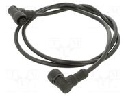 Cable: for sensors/automation; PIN: 4; with plastic nut; plug AMPHENOL LTW
