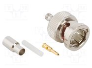 Connector: BNC; plug; male; straight; 75Ω; crimped; for cable; POM AMPHENOL RF