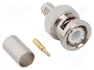 Connector: BNC; plug; male; straight; 75Ω; crimped; for cable; PTFE AMPHENOL RF