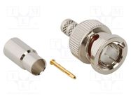 Connector: BNC; plug; male; straight; 75Ω; crimped; for cable; PTFE AMPHENOL RF