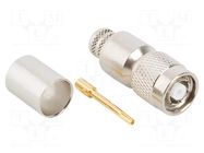Connector: RP-TNC; plug; reverse,female; straight; 50Ω; crimped AMPHENOL RF