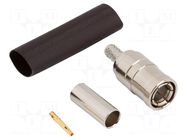 Connector: Mini SMB; plug; female; straight; 75Ω; for cable; brass AMPHENOL RF