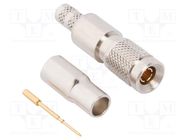 Connector: coaxial; plug; male; straight; 75Ω; crimped; for cable AMPHENOL RF