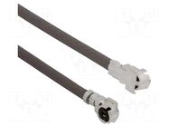 Cable; AMC female,both sides; angled; 0.3m; 50Ω AMPHENOL RF