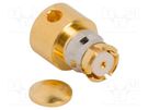 Plug; coaxial; female; angled 90°; 50Ω; soldering; for cable; SMP AMPHENOL RF