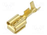 Terminal: flat; 6.3mm; 0.8mm; female/male; 1÷2.5mm2; crimped; brass IMP