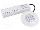 Lamp: LED emergency luminaire; RoundTech; IP44; white; 1.1W; 200lm EATON ELECTRIC