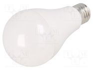 LED lamp; cool white; E27; 230VAC; 1750lm; 17.3W; 180°; 6500K GTV Poland