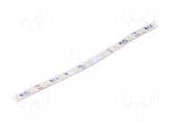 LED tape; white neutral; LED/m: 70; 8mm; IP20; 120°; 4.8W/m; 24VDC KLUŚ