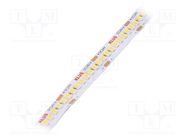 LED tape; white warm; LED/m: 240; 10mm; IP20; 120°; 4.8W/m; 24VDC KLUŚ