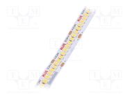 LED tape; white warm; 24V; LED/m: 240; 10mm; IP20; 120°; 9.6W/m KLUŚ