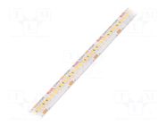 LED tape; white warm; LED/m: 240; 10mm; IP65; 120°; 14.4W/m; Thk: 3mm KLUŚ