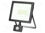 Lamp: LED flood light; 50W; 4000K; CRImin: 80; IP44; 3700lm; 230VAC VIRONE