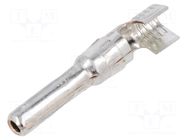 Contact; male; 4÷6mm2; 12AWG÷10AWG; crimped; photovoltaics; 39A STÄUBLI