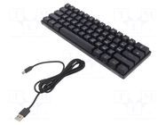 Keyboard; black; USB C; wired,US layout; mechanical keyboard,RGB SAVIO