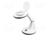 Desk magnifier; with backlight; 3dpt; Ø100mm; Illumination: LED GOOBAY