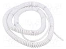 Wire: coiled; 2x0.15mm2; unshielded; PUR; white; 300V; 1m; 4m SIMECH