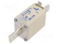 Fuse: fuse; 160A; 1kVDC; gPV; ceramic; NH1 DF ELECTRIC