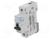 Circuit breaker; 230VAC; Inom: 13A; Poles: 1; Charact: D; 6kA; IP20 LEGRAND